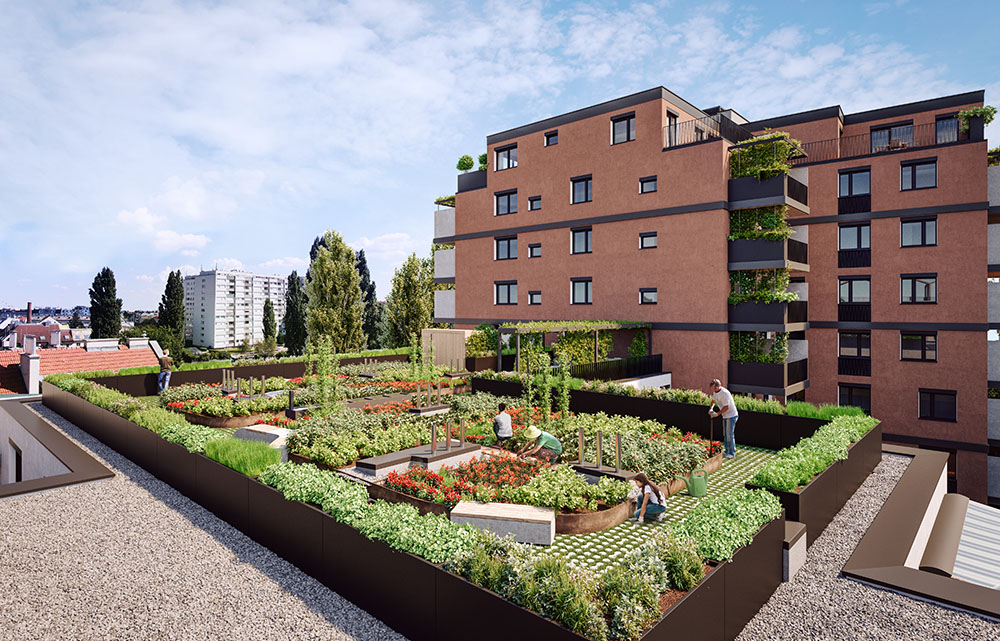 Dachgärten des Wohnprojekts Attemsgarten in Wien
